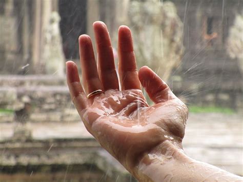 person, wearing, gold ring band, rain, drops, palm, daytime, hand, zen, ring | Pxfuel