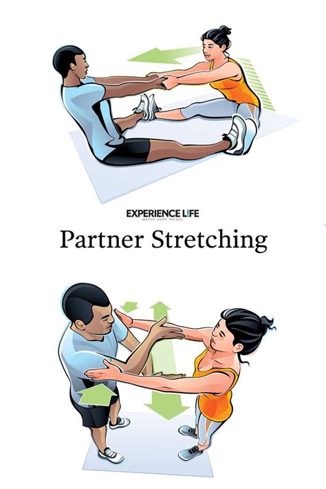 Partner Stretching | Partner stretches, Fun workouts, Workout