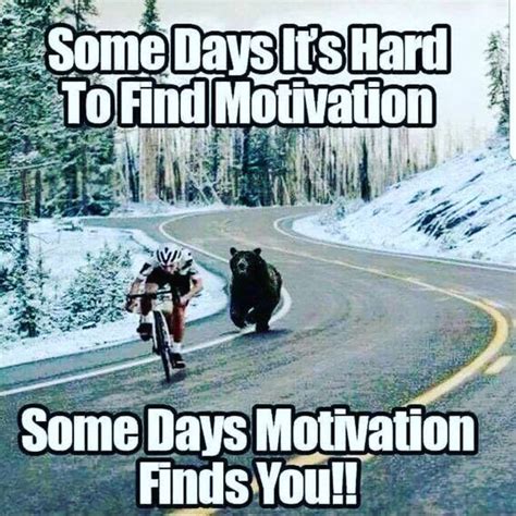 Motivational and Inspirational Memes, Funny Uplifting Memes in 2019