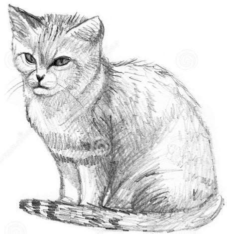 Descargar Cara Menggambar Kucing dengan Pensil Google Play softwares ...