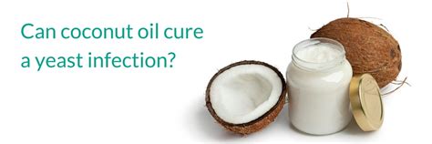 Can coconut oil cure a yeast infection? - Beat Candida