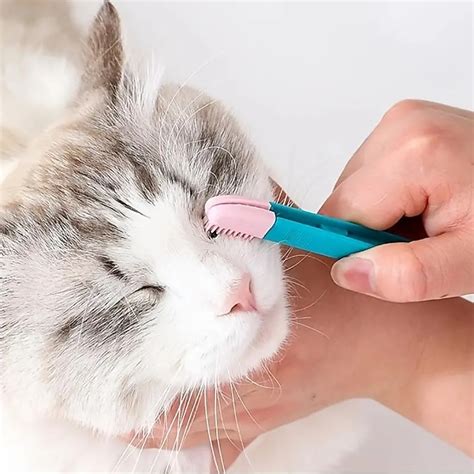 Keep Your Pet's Eyes Clean and Healthy with This 1pc Silicone Cat Mucus Brush 9525453 2023 – $12.09