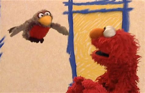 Elmo's World Birds HD | Sesame Street