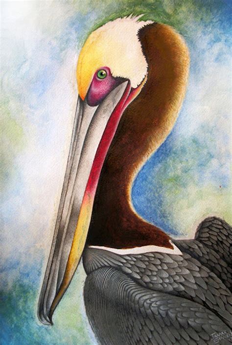 Original watercolor pelican painting fine art print 8 x 10 | Etsy