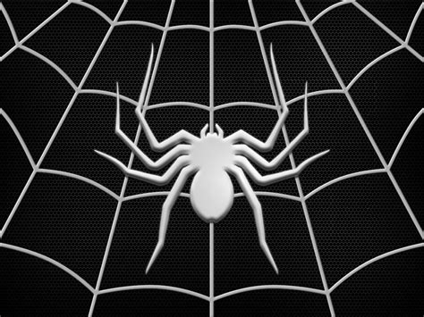 Spider-Man Web Wallpapers - Top Free Spider-Man Web Backgrounds ...