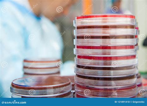 Microbiology Research in Laboratory Stock Photo - Image of science ...