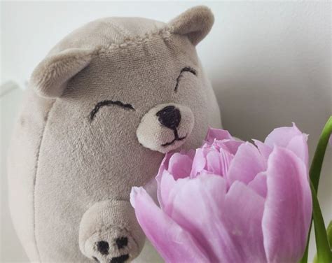 Teddy Bear Sewing Pattern PDF: 3 Fat Plush Teddy Bear Tutorial, 3 Cute Kawaii Stuffed Animal Toy ...