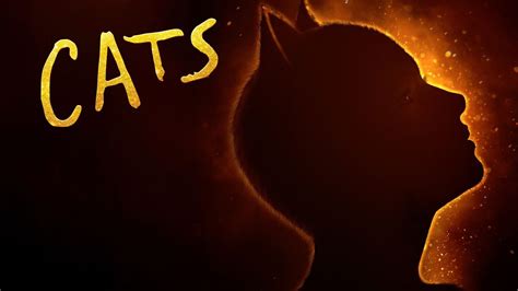 Cats - Review