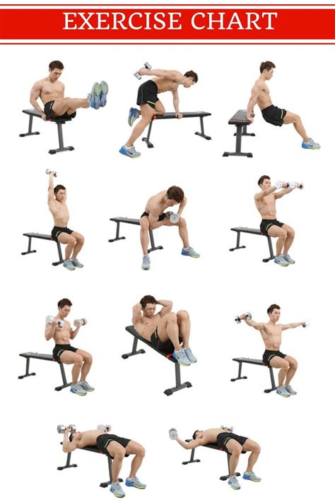 Get great muscle building workout at home with a help of a weight bench https://abmachinesguide ...