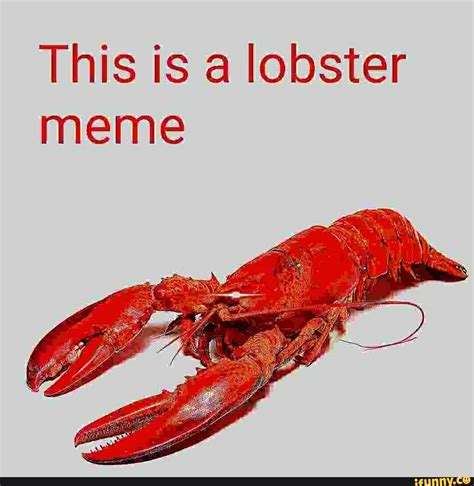 This is a lobster meme - iFunny