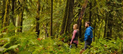 Olympic National Park Entrances | The Olympic Peninsula, WA