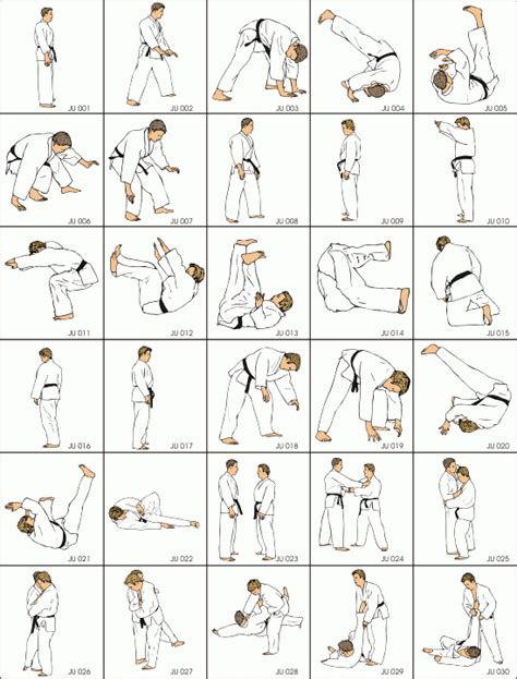 jiu-jitsu techniques - Google Search | Martial arts workout, Martial ...