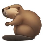 🦫 Emoji Castor en Apple iOS 15.4