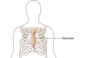 Sternum (Breastbone) Pain - Causes, Diagnosis and Treatments