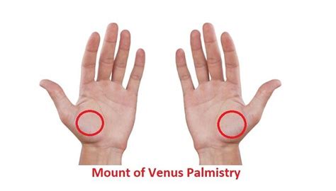 Mount of Venus Palmistry – Reading and Meaning