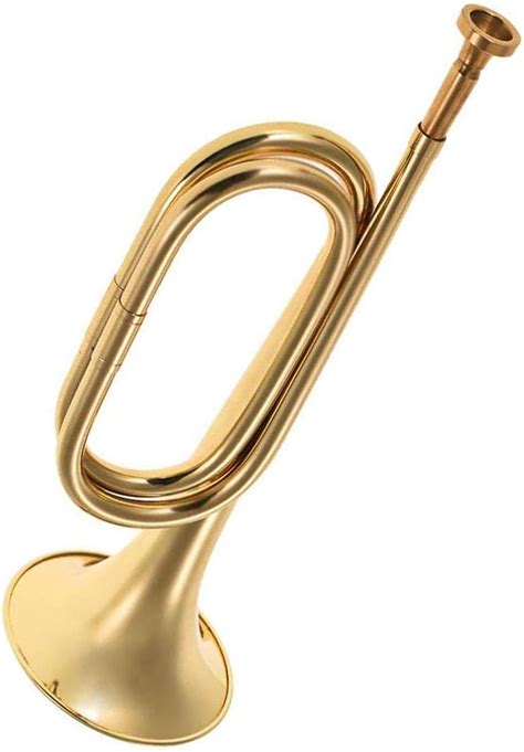 10 Types Of Trumpets With Their Uses and Pictures - Recording History