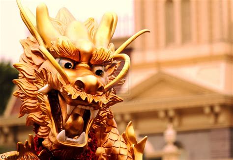 480x854 resolution | gold-colored dragon statue, chinese dragon, dragon ...