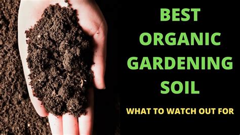 Best Organic Gardening Soil - YouTube