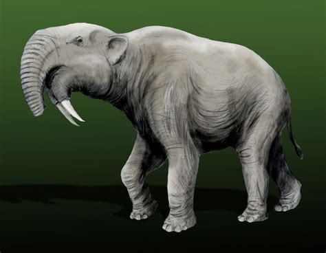 Prehistoric Elephants: Pictures and Profiles