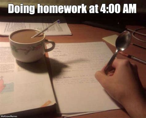 37 Homework Memes That Are Funny