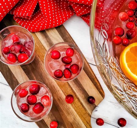 Holiday Cranberry Vodka Punch - Jersey Girl Cooks