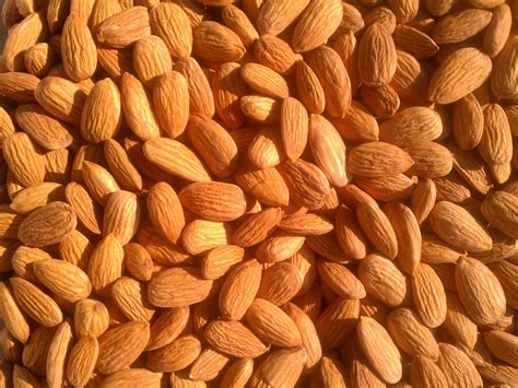 This Week on the Farm: Almond Harvest