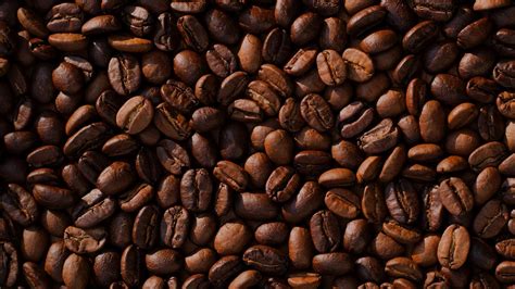 Coffee Bean Wallpapers - Wallpaper Cave