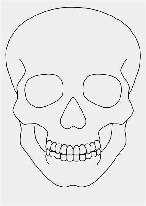 Skull outline clip art simple human skull drawing cliparts cartoons ...