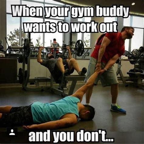 Funny Pictures Of The Day - 42 Pics | Funny gym quotes, Workout quotes funny, Workout memes