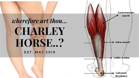 Wherefore Art Thou Charley Horse? | How To Avoid Muscle Spasms - YouTube