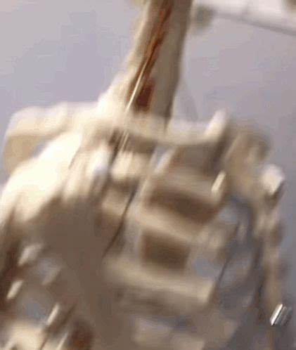 Skeleton Thinking GIF - Skeleton Thinking Meme - Descobrir e Compartilhar GIFs em 2024 | Melhor ...