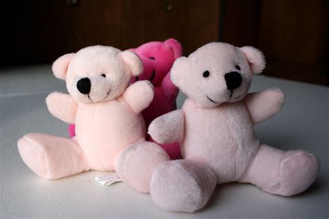 Three Teddy Bears – Photos Public Domain