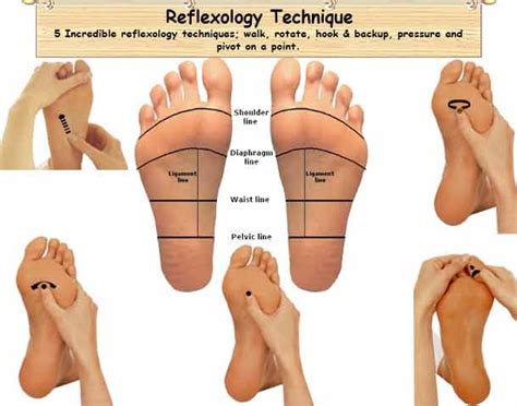 Reflexology Techniques Reflexology Foot Chart, Spa Massage, Foot Massage, Massage Therapy ...