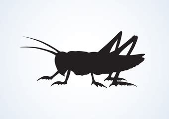 Cricket Insect Vector at Vectorified.com | Collection of Cricket Insect Vector free for personal use