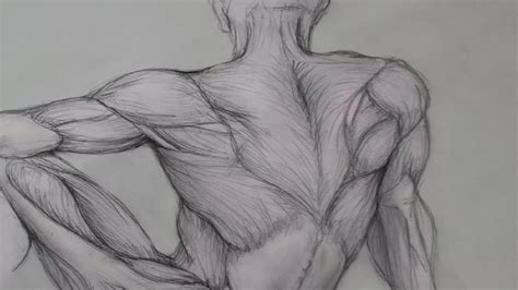 Figure Drawing Lessons 6/8 - Anatomy Drawing For Artists - Drawing Human Anatomy - YouTube