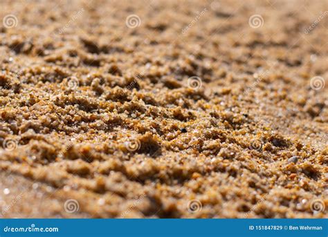 Grains of sand detail stock image. Image of rock, east - 151847829