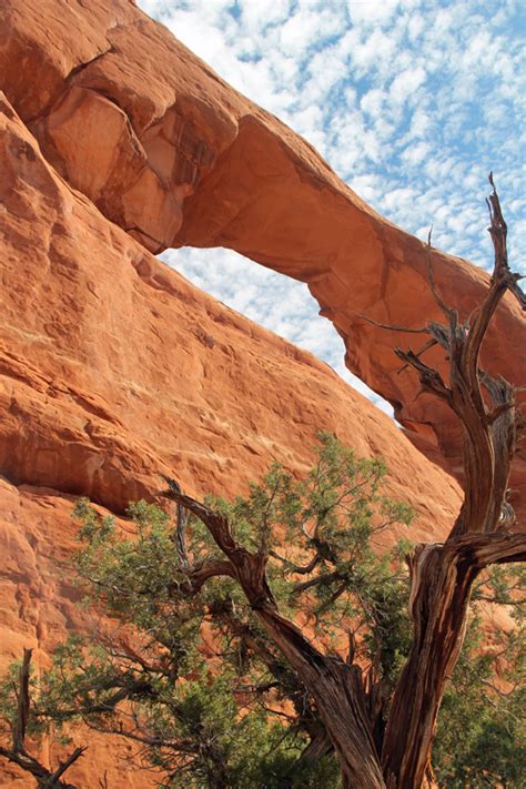 Rolling Steel Tent: Hike to Landscape Arch