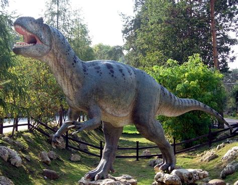 Allosaurus Facts, Pictures, Habitat, Adaptation and Behavior