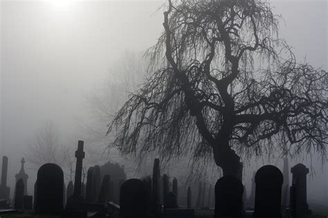 What Happens If a Cemetery Goes Under?