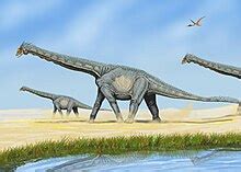 Alamosaurus - Wikipedia