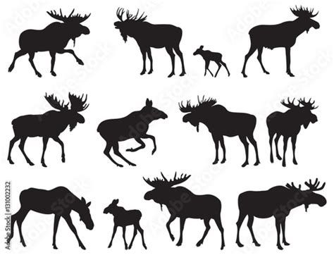 Set of Moose Silhouettes. Vector Images Stock Vector | Adobe Stock