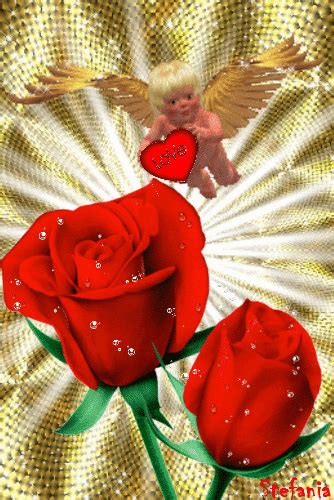 Google+ Big Cats Art, Cat Art, Rose Bedding, Beautiful Rose Flowers, Gifs, Cupid, Love Life ...
