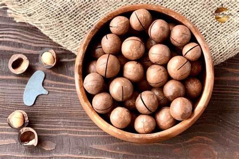 Chestnut Vs Hazelnut ( Difference Between Hazelnut & Chestnut ) - Arad Branding