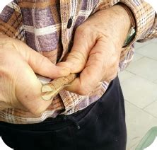 Propagation Methods Grafting Peach Trees with Plums