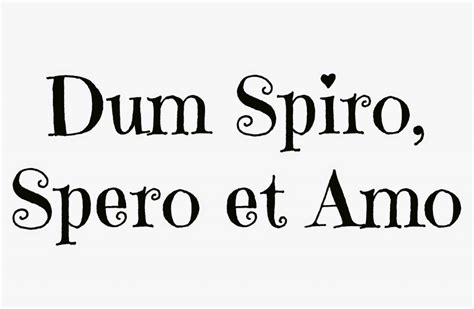 Dum Spiro Spero - 🌟 CipMania