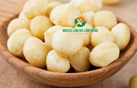 Hạt macca rang muối như thế nào để đạt hiệu quả cao?