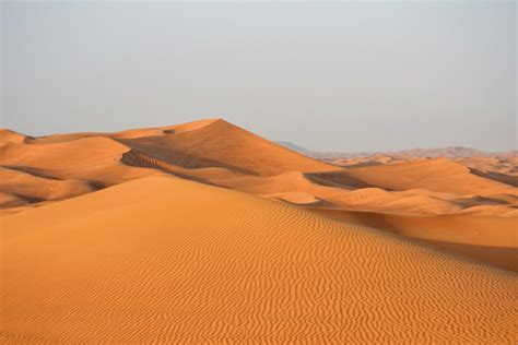 Free Images : landscape, desert, dune, formation, dry, dubai, grassland, emirates, arabia ...