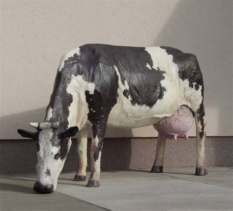 Realistic Garden Ornament Fiberglass Cow Statues for Sale