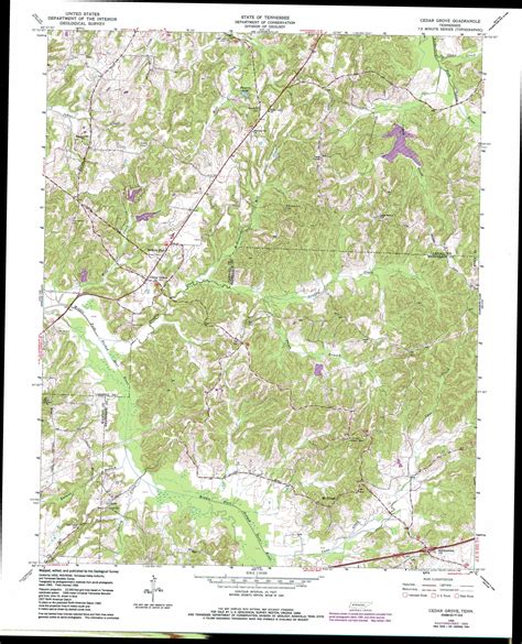 Cedar Grove topographic map, TN - USGS Topo Quad 35088g5