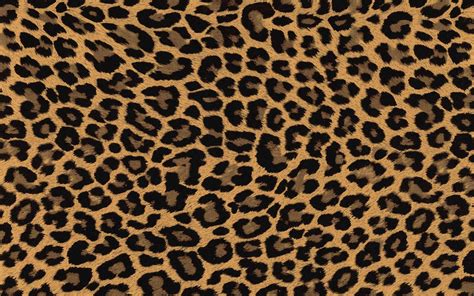 Leopard Print Wallpaper - KoLPaPer - Awesome Free HD Wallpapers